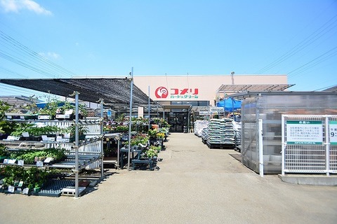 コメリハード&グリーン　原当麻店　距離約650m