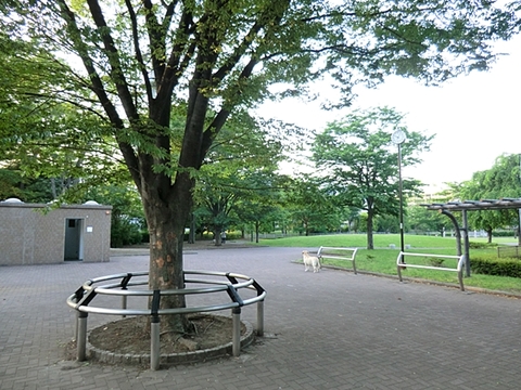 四谷さくら公園　距離約750m