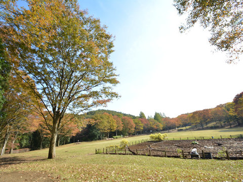 大谷戸公園　距離約600m