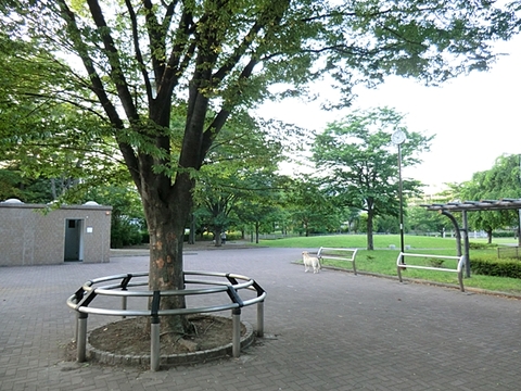 四谷さくら公園　距離約1500m