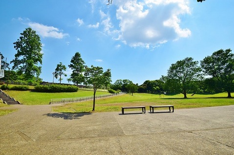 岸根公園　距離約1000m