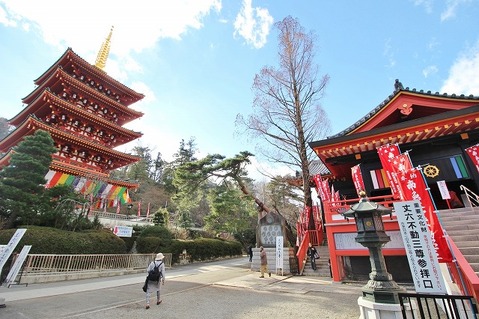 高幡山明王院金剛寺　距離約2000m
