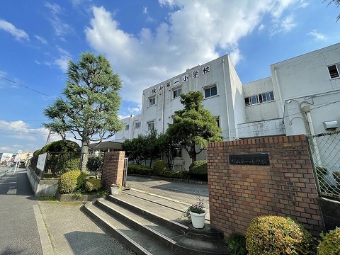 八王子市立横山第一小学校　距離約800m