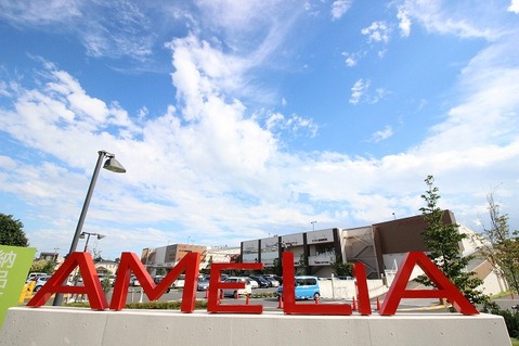 アメリア町田根岸ショッピングセンター　距離約900m