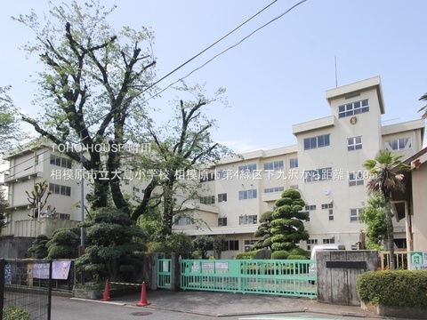 相模原市立大島小学校 1100m