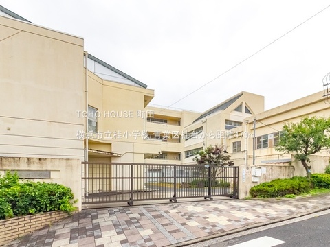 横浜市立桂小学校 470m