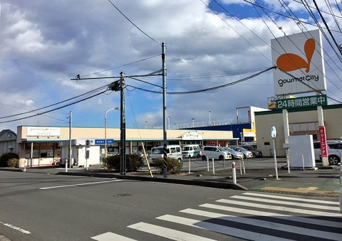 グルメシティ　光が丘店　距離約850m