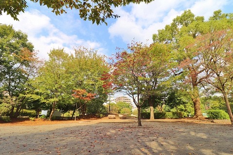 鶴ヶ峰公園　距離約30m