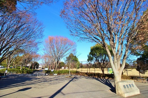 今川公園　距離約600m