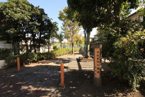 やなぎはら緑道　距離約1000m