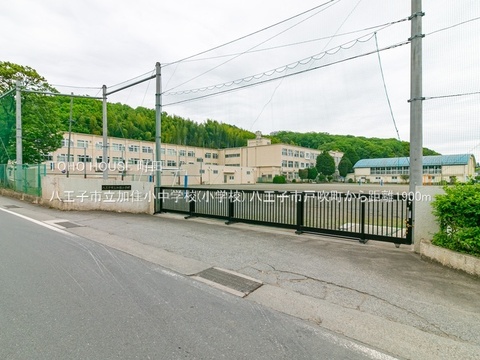 八王子市立加住小中学校(小学校) 1900m