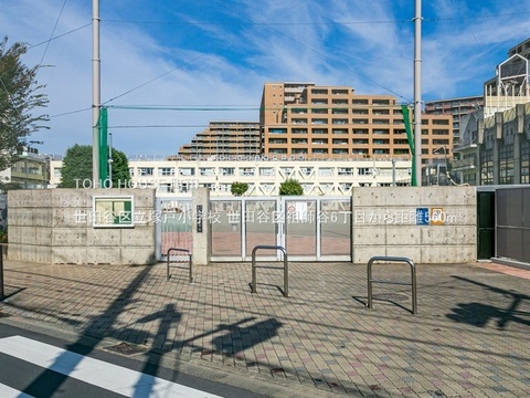 世田谷区立塚戸小学校 560m