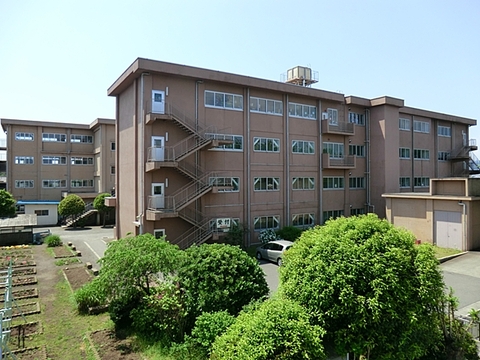 八王子市立大和田小学校　距離約1260m