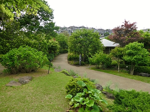 馬場花木園　距離約1300m