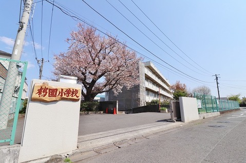 相模原市立鶴園小学校まで約550m