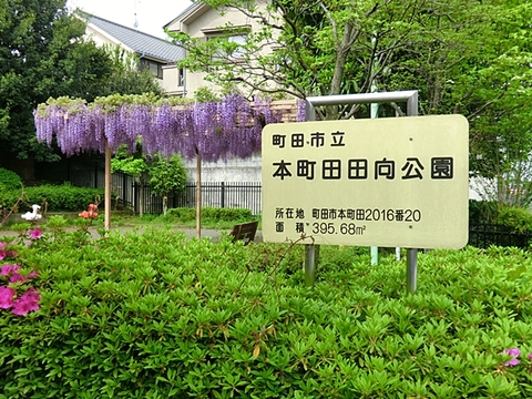 本町田田向公園　距離約1000m