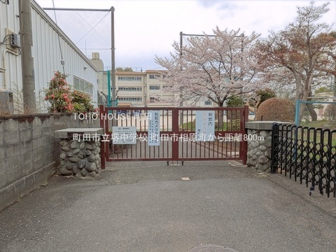 町田市立堺中学校 800m
