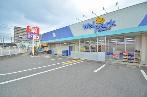 ウェルパーク　海老名かしわ台店　距離約650m