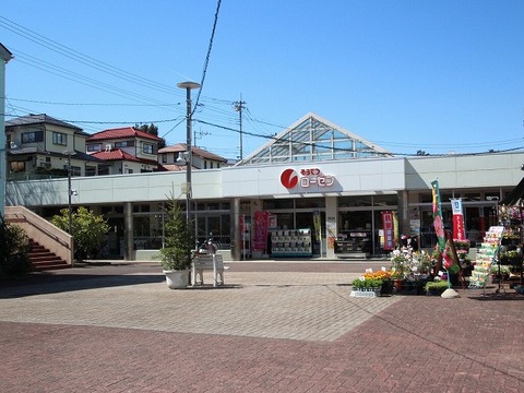 相鉄ローゼン　杉久保店　距離約290m