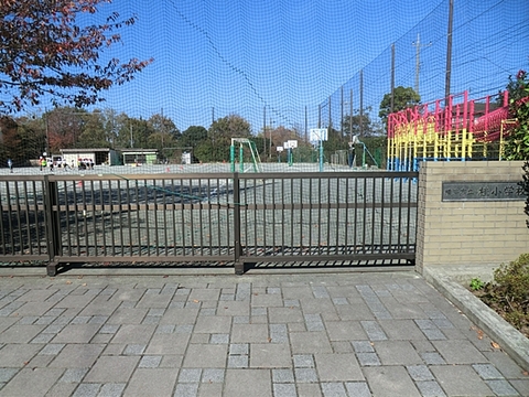 横浜市立桂小学校　距離約800m
