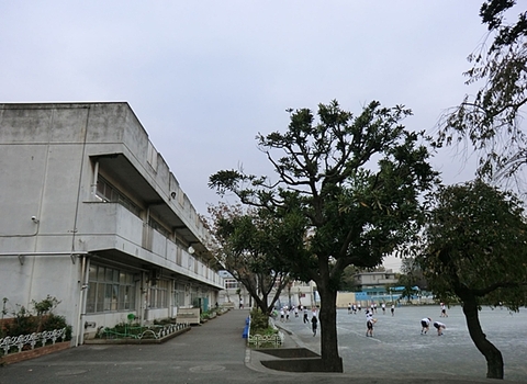 横浜市立二つ橋小学校　距離約1100m