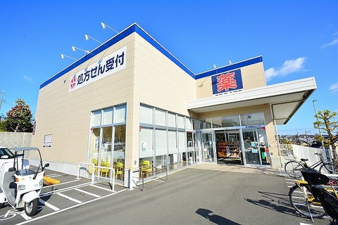 クリエイトS・D　川崎千代ケ丘店まで約1100m