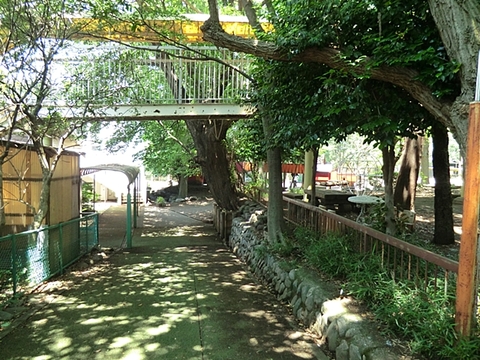 まこと幼稚園　距離約300m
