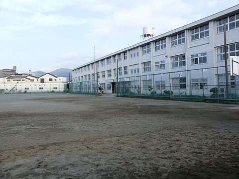伊勢原市立伊勢原小学校まで約230m