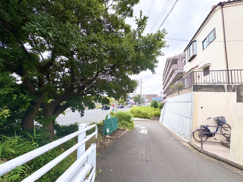 緑が見える住宅街の静かな通りの様子