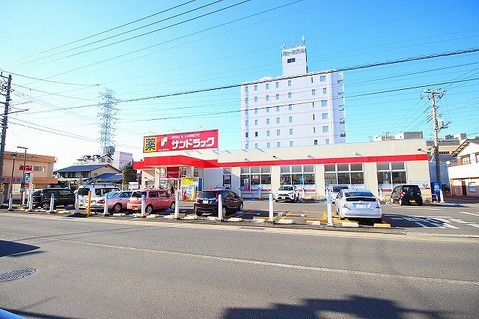 サンドラッグ　伊勢原店　距離約1400m