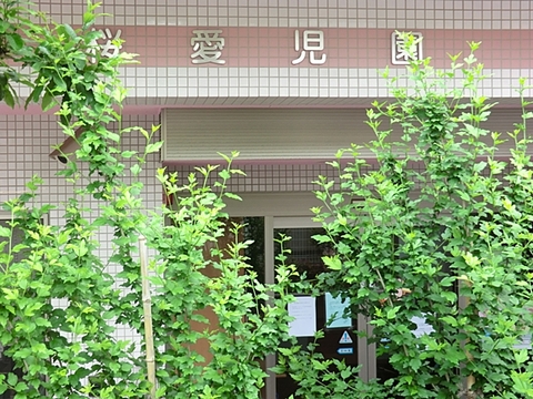 小桜愛児園　距離約1100m