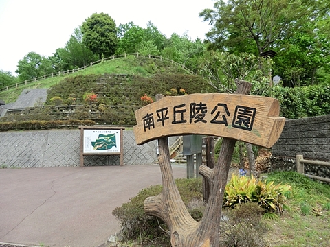 南平丘陵公園　距離約50m