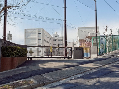 横浜市立美しが丘小学校　距離約800m