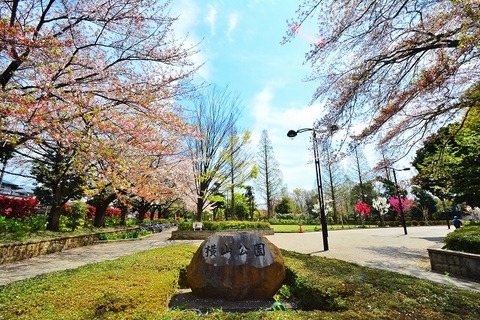 横山公園　距離約1100m