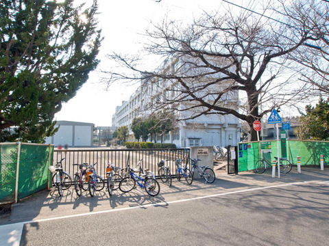 大和市立緑野小学校まで約550m