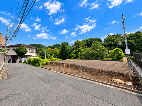 周辺道路と塀、緑のある住宅地の景観