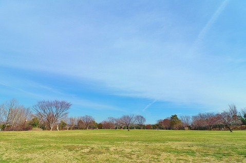 長坂谷公園　距離約1400m