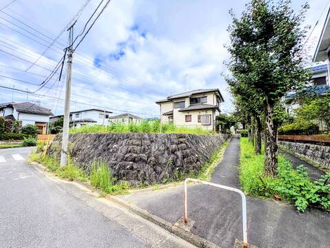 住宅周辺の道路と植栽の様子