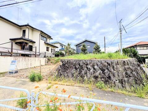 住宅街にある戸建て住宅と道路沿いの植栽