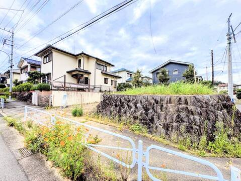 住宅街にある戸建て住宅と周辺の道路
