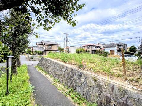 石垣沿いの細道と周辺の住宅・緑地