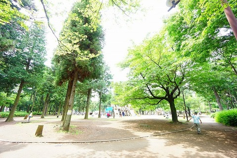 淵野辺公園　距離約700m