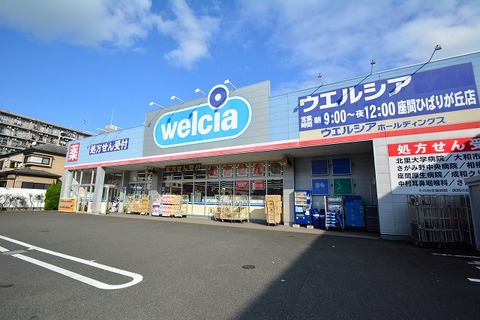 ウエルシア　座間ひばりが丘店　距離約1100m