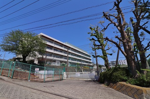 横浜市立善部小学校まで約700m