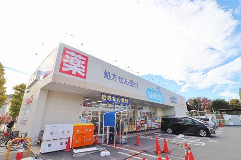 ウエルシア　海老名東柏ケ谷店　距離約900m