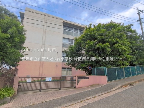 横浜市立山下みどり台小学校 250m