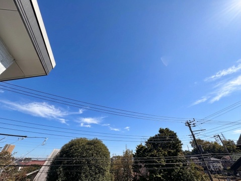 青空と周辺の樹木を望む眺望