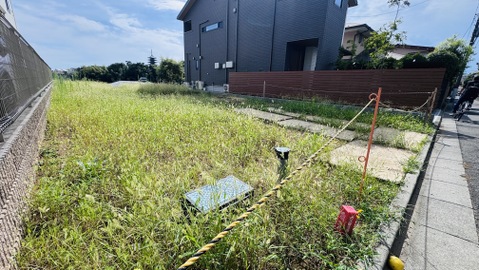住宅隣接の草地と舗装された歩道の外観です