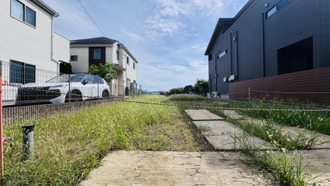 建物に挟まれた土地で一部コンクリート敷きです