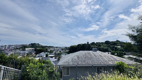 周辺の緑と住宅が見える眺望です